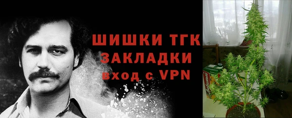 mix Богородицк