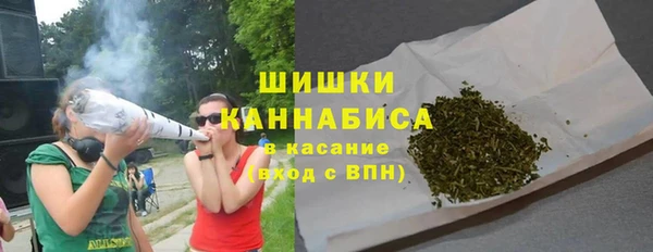 mix Богородицк