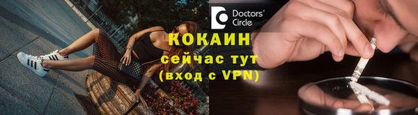 ECSTASY Богданович
