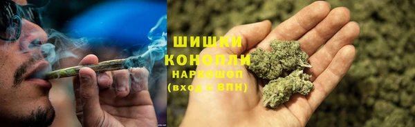 ECSTASY Богданович
