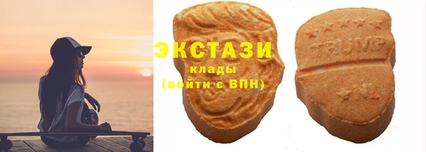 ECSTASY Богданович