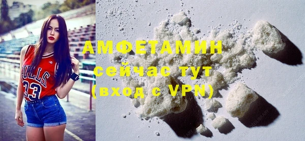 ECSTASY Богданович
