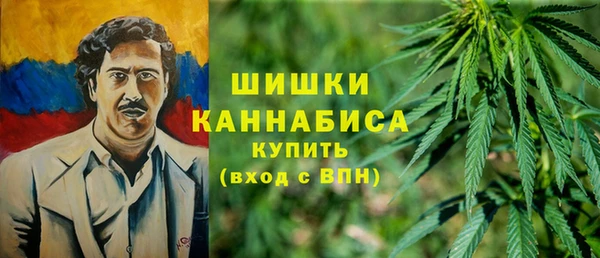 mix Богородицк