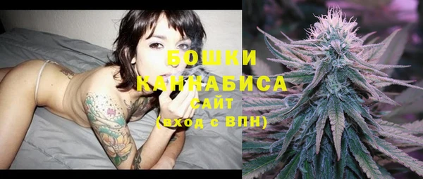 ECSTASY Богданович