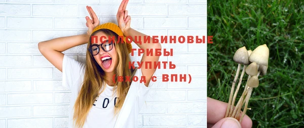 ECSTASY Богданович