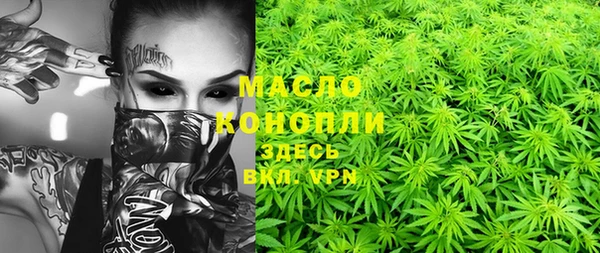 mix Богородицк