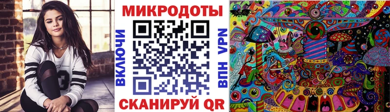 Псилоцибиновые грибы Psilocybe  цена наркотик  Михайлов 